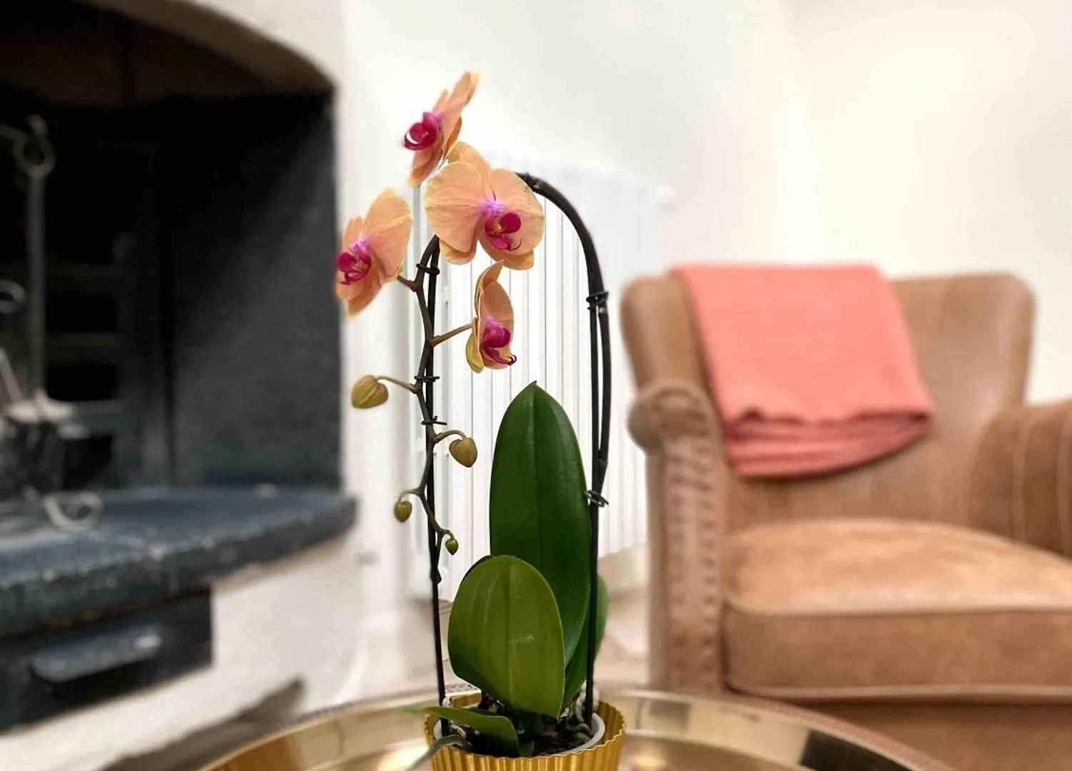 Villa Chloe Montecalvo Versiggia İtalya